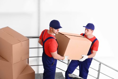 Local packing materials suitable for a Tufnell Park flat move