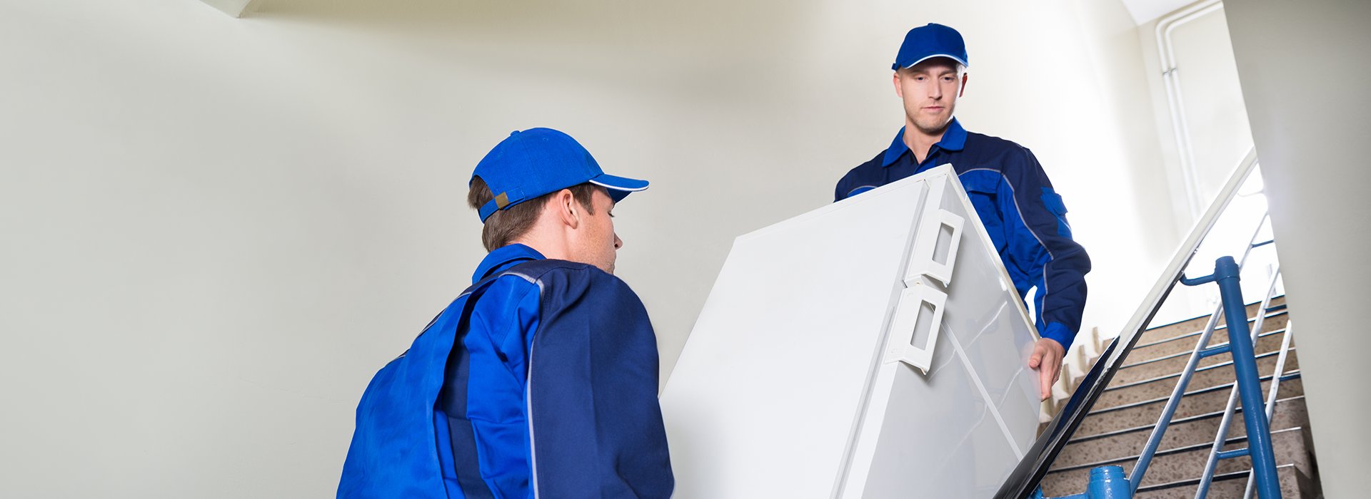 Movers Tufnell Park